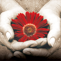 flower-hands