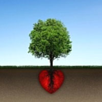 tree-root-heart