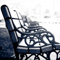 bench