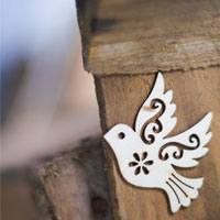 dove_200