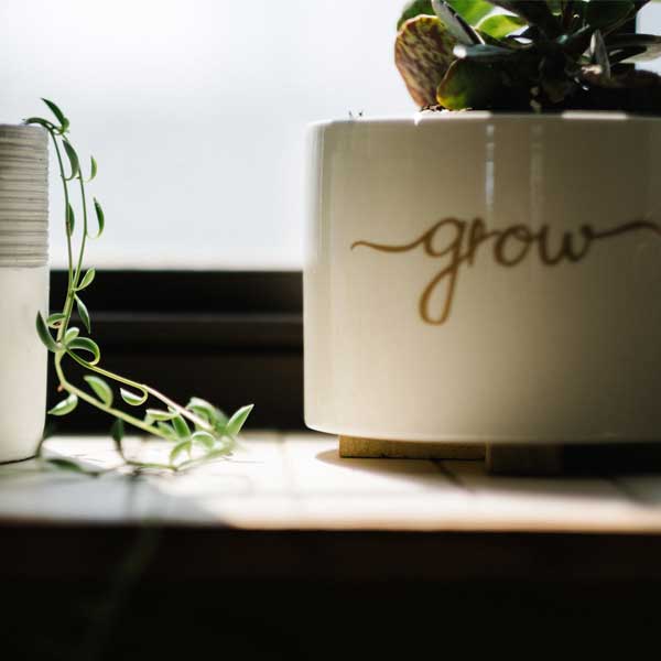 grow-plant-600