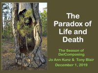 The Paradox of Life and Death