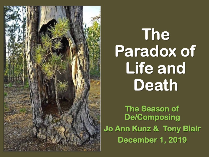 The Paradox of Life and Death