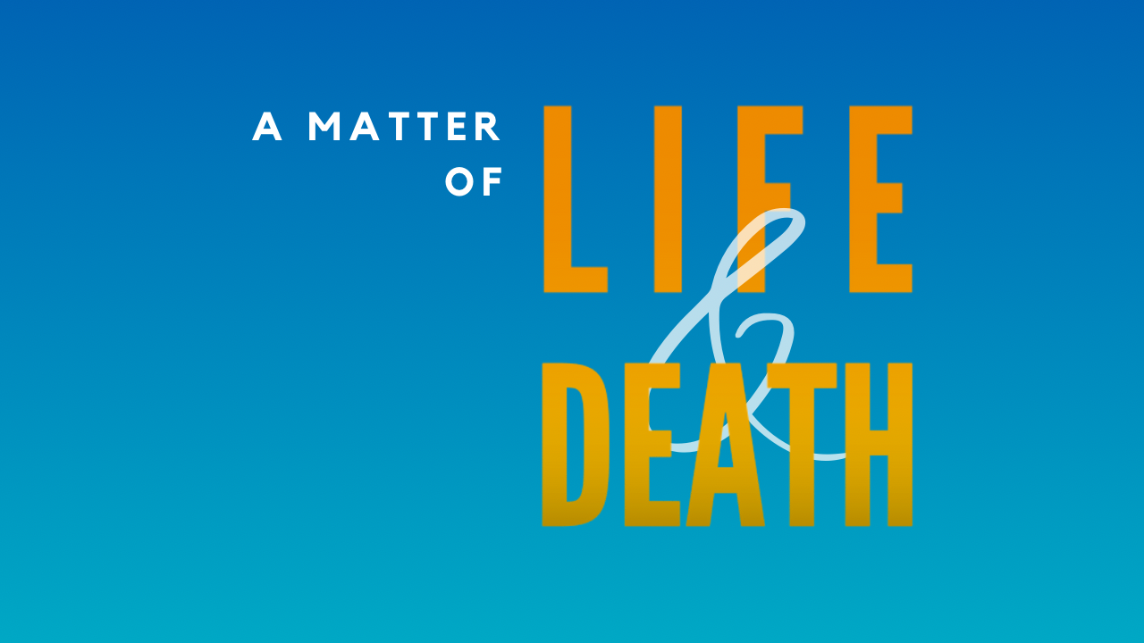 A Matter of Life and Death: Q & A Cafe