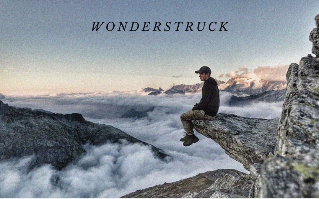 Wonderstruck