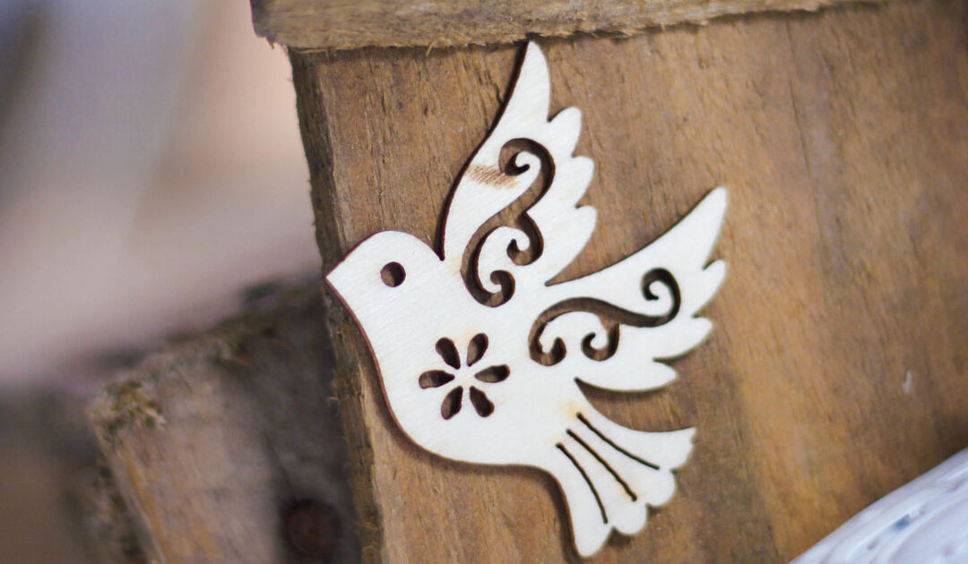 dove_share