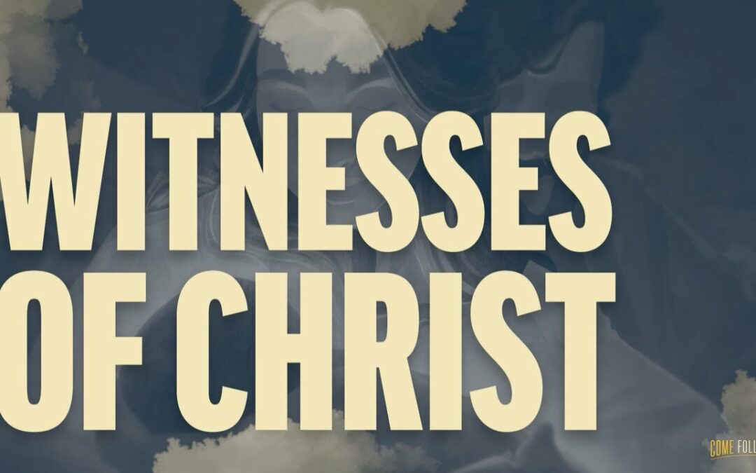 2024-05-05: We are Witnesses and With-nesses